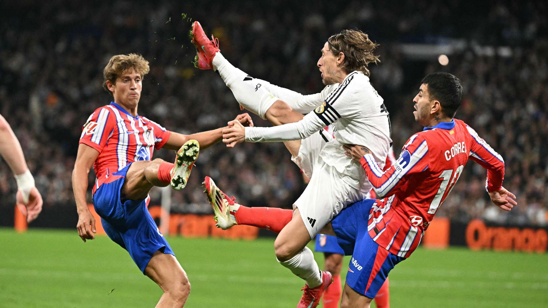 了高水平的 了高水平的