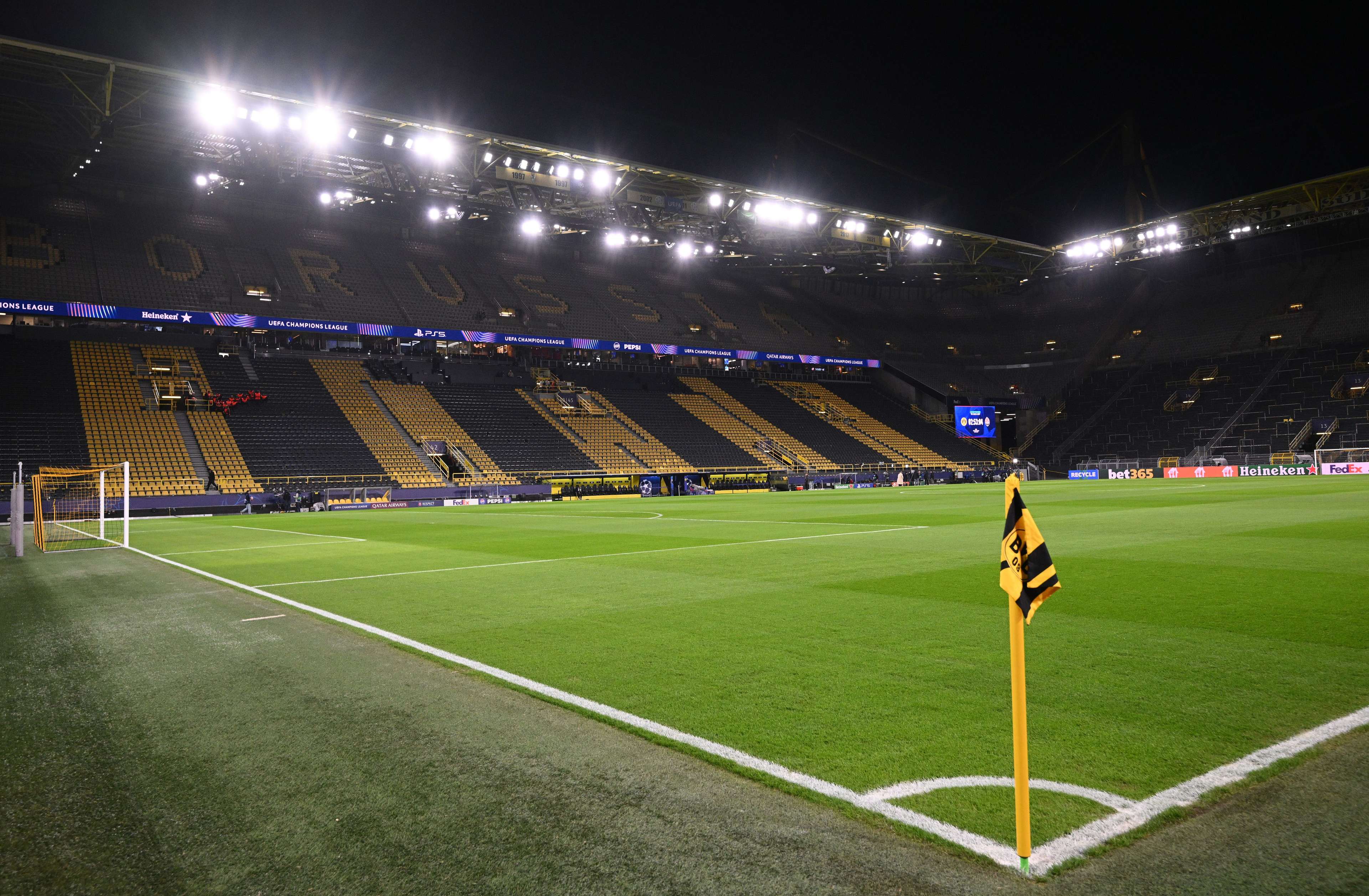 也为未来的 也为未来的