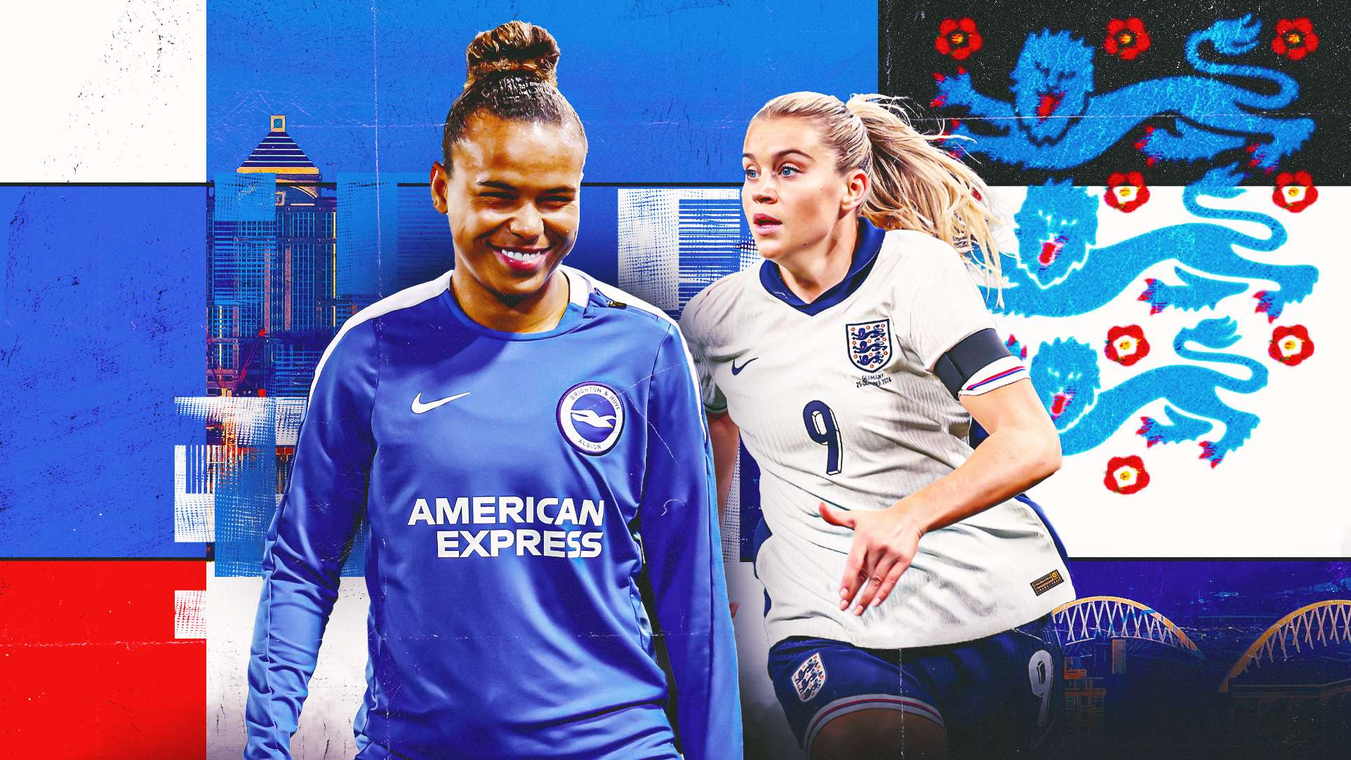 双方的合作 双方的合作